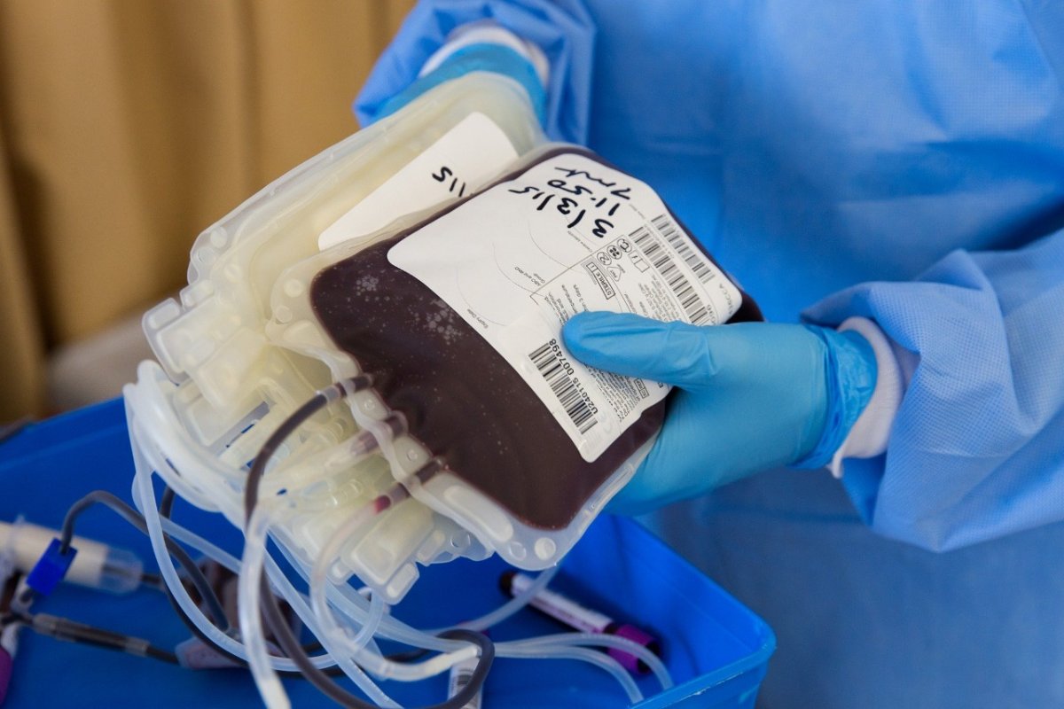 Doar sangue: esperança e vida