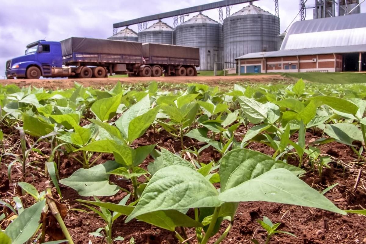 Pandemia: agronegócio reduz tombo da economia e deve ser ponto de partida para recuperação