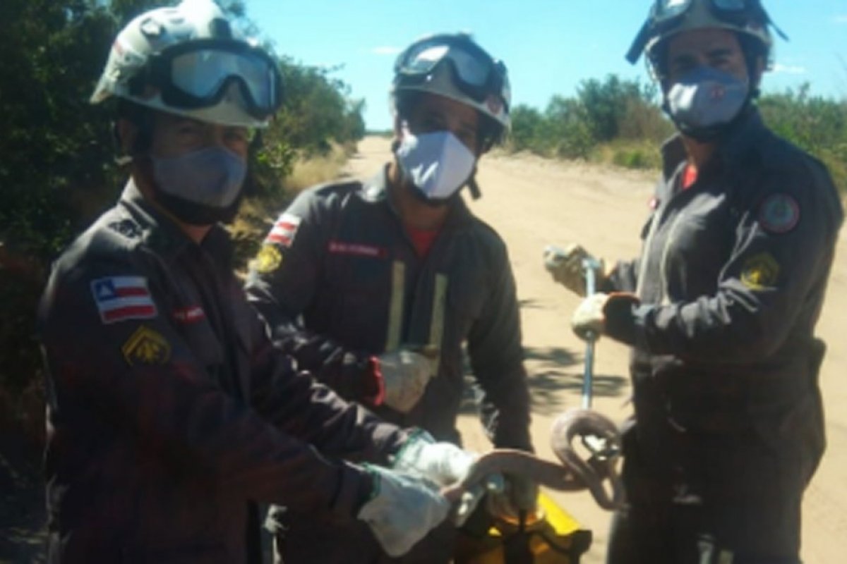 Jiboia é resgatada por bombeiros no oeste da Bahia 