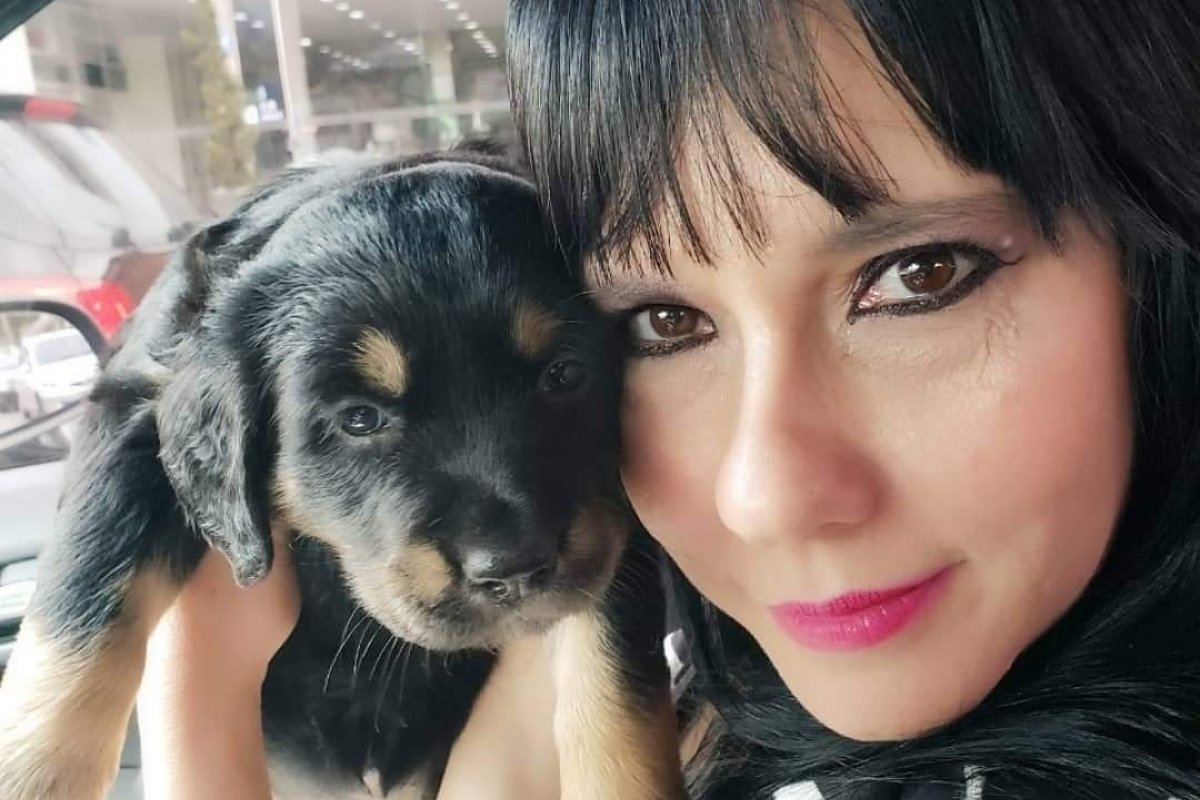 Ana Bittar doa quadros para ação solidária  Criadores do Bem