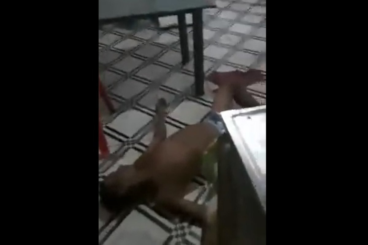 Veja vídeo: Policiais invadem casa errada durante operação de busca no Maranhão