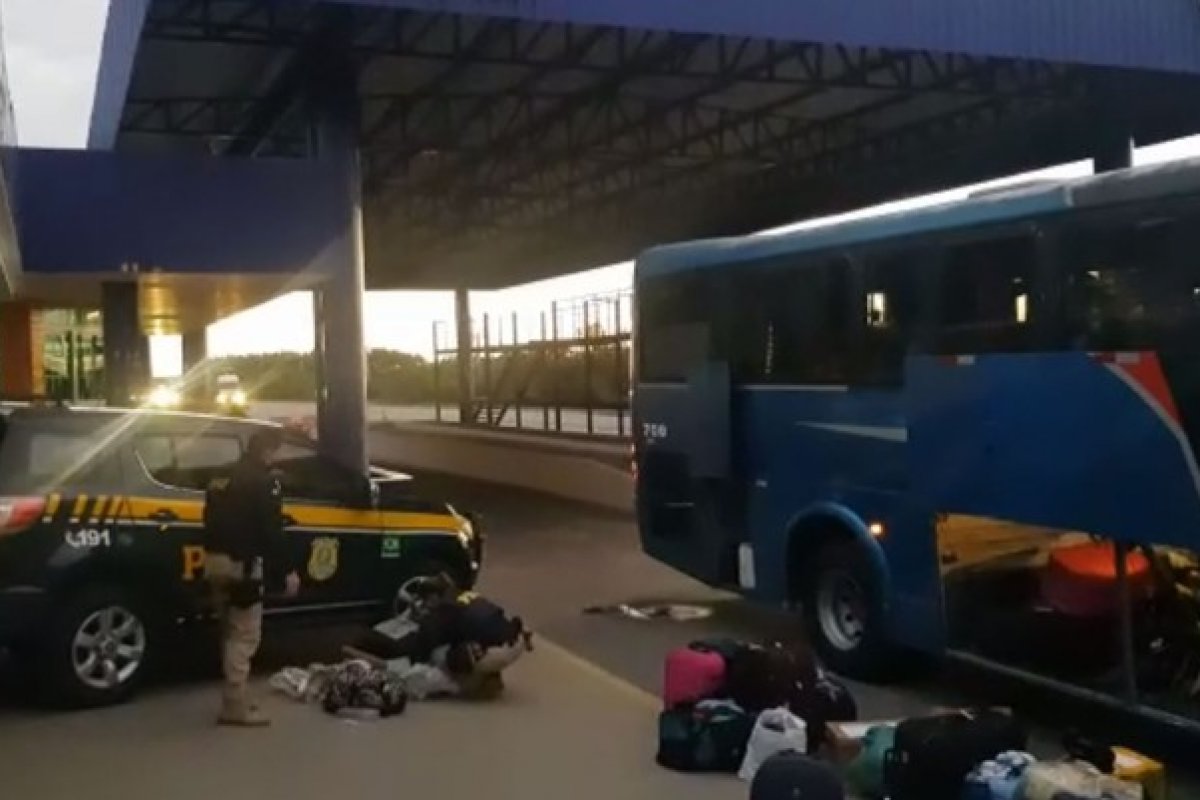 Abordagens da PRF na Bahia resultam em quase 100 kg de maconha