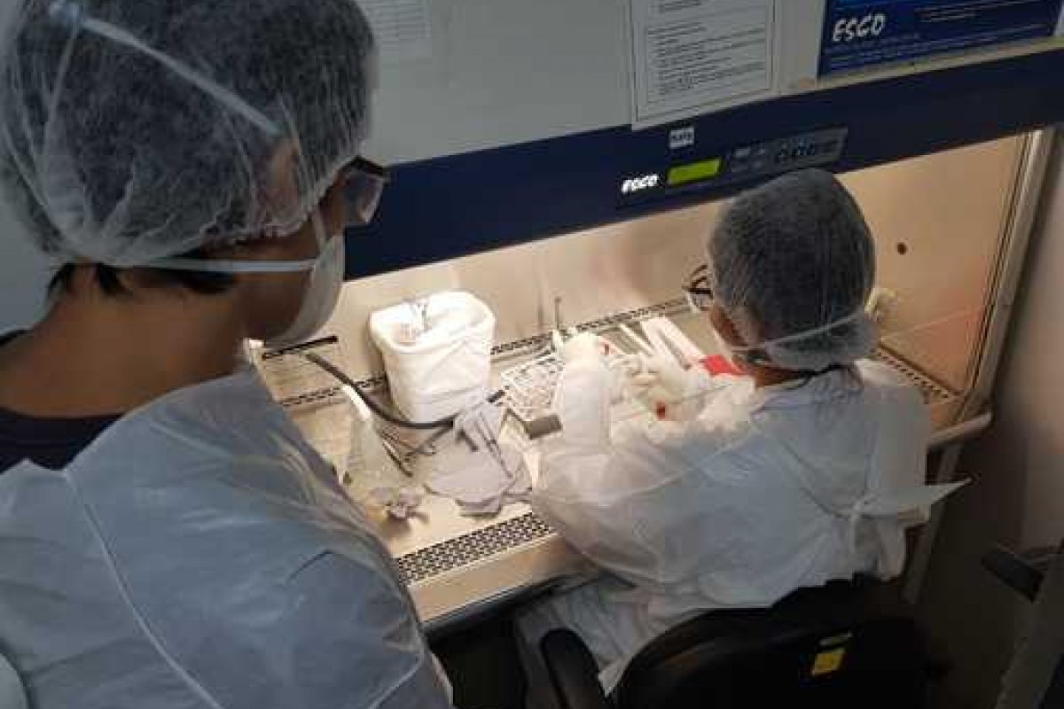 Uesc começa a atuar no diagnóstico da Covid-19 