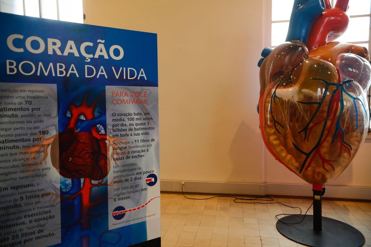 Doenças cardiovasculares aumento em 31% no país, aponta órgãos