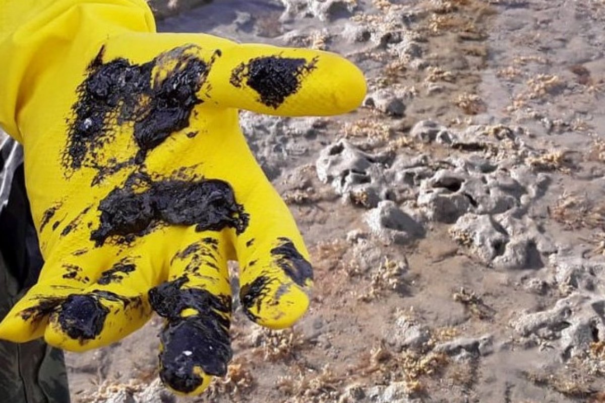 Fragmentos de óleo ainda causam danos às praias brasileiras, afirma Marinha
