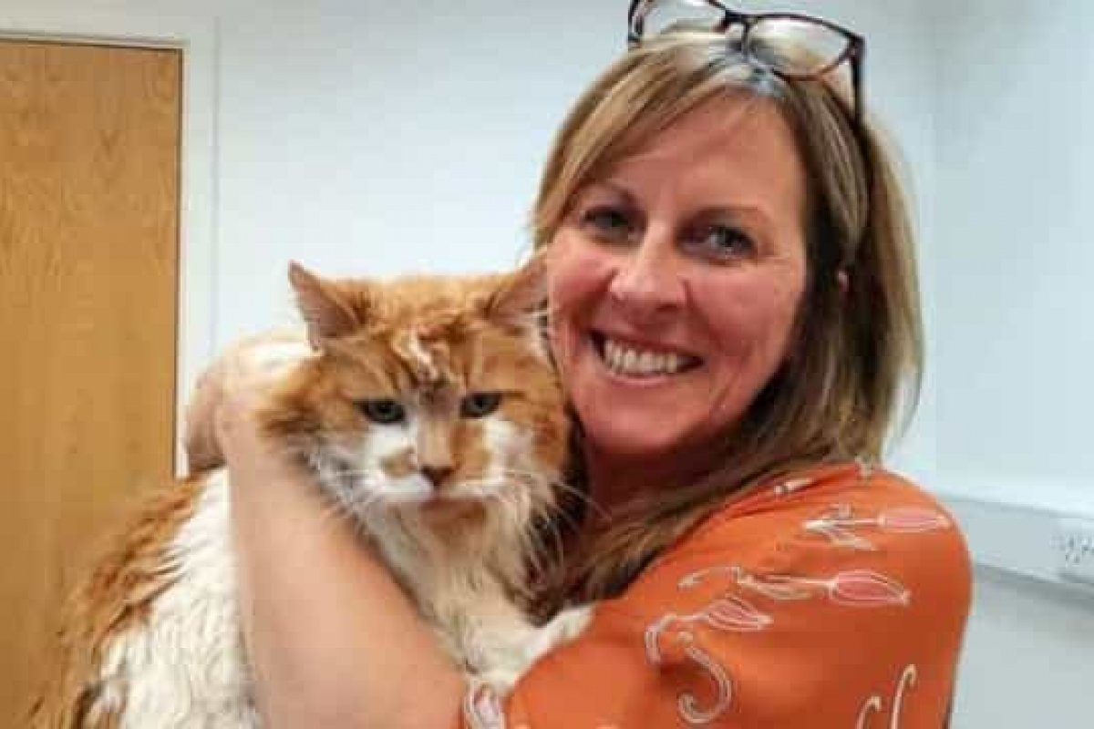 Morre o gato mais velho do mundo