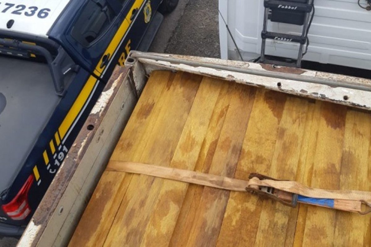 Motorista é detido após transportar madeira de forma ilegal na BR-407