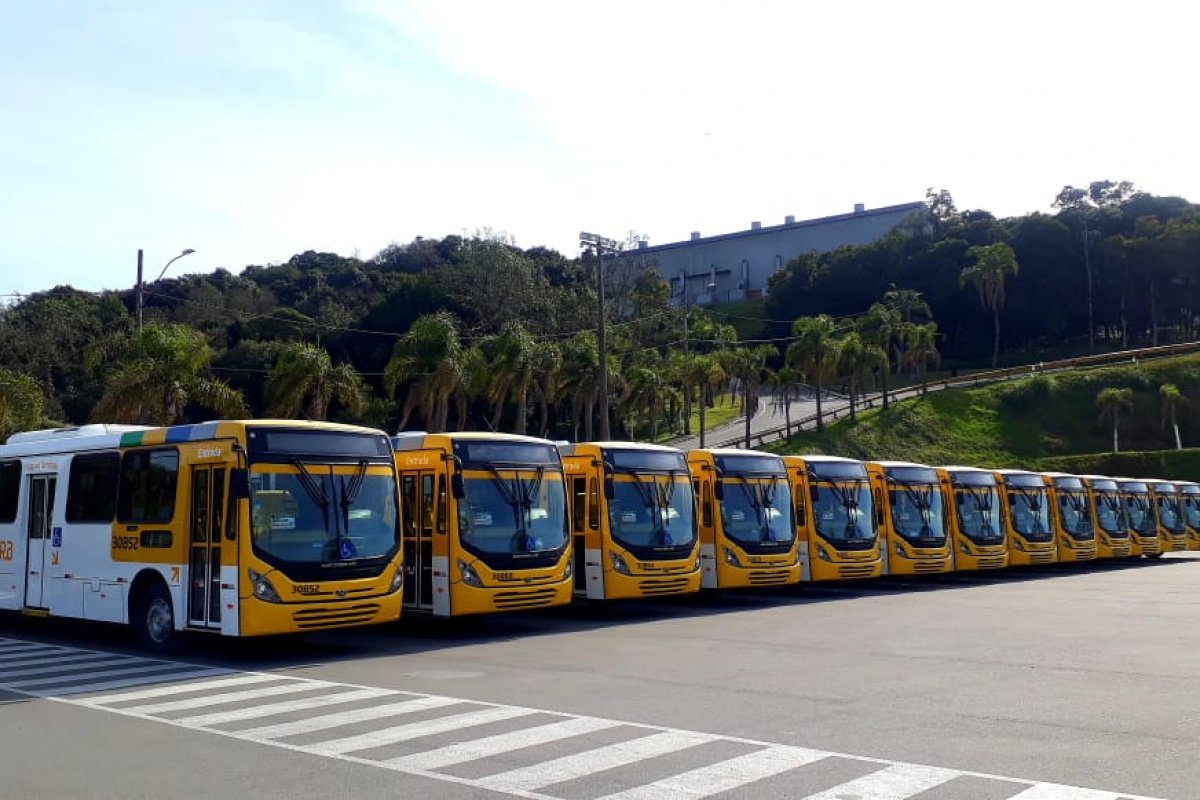 Salvador recebe parte da frota de ônibus com ar-condicionado