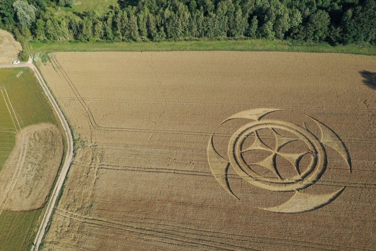 Símbolo em campo de trigo chama atenção na França