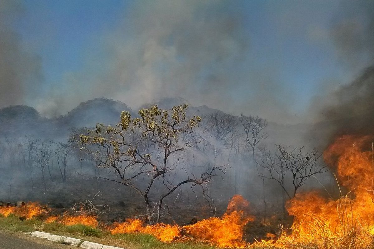 Decreto proíbe queimadas em áreas rurais pelo período de 120 dias