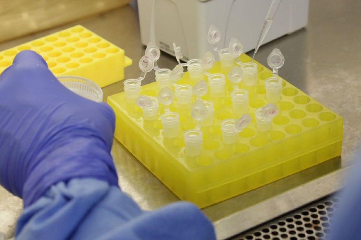 Veja vídeo: Laboratórios serão obrigados a comunicar Ministério da Saúde resultados dos testes de covid-19