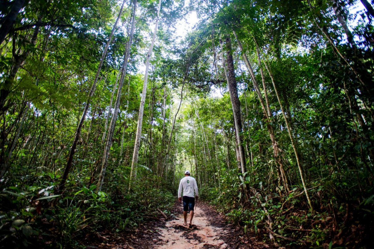 Regulamentações na Amazônia