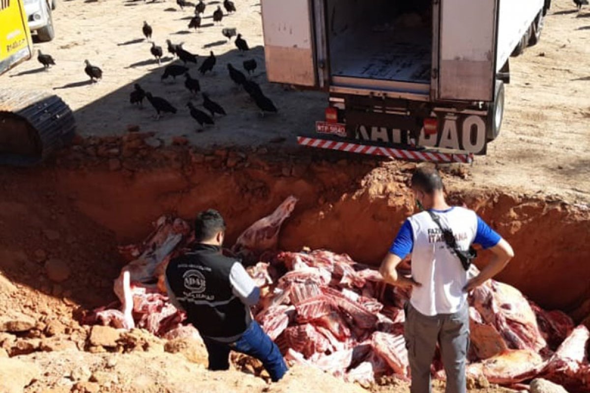 Carne em estado de putrefação é apreendida  na região de Teixeira de Freitas