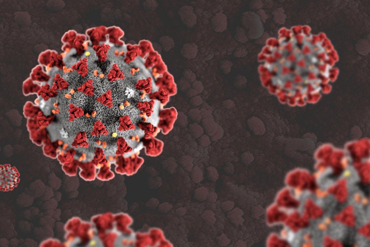 Coronavírus: Veja os últimos dados atualizados da pandemia nesta terça-feira (28)