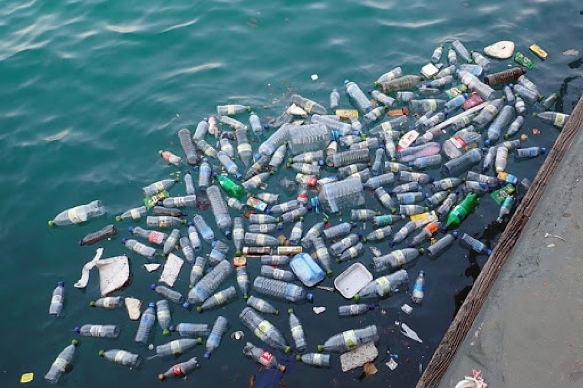 Projeção aponta que quantidade de plástico nos oceanos pode chegar a 600 milhões de toneladas até 2040