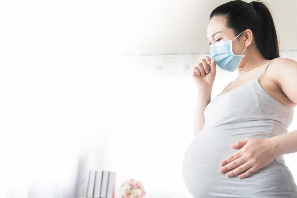 Câmara aprova a urgência de projeto que garante proteção às grávidas durante a pandemia