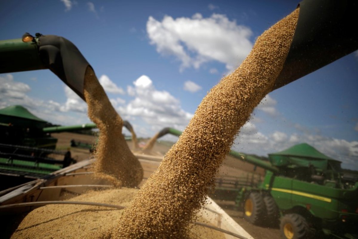 Produção de safra no Brasil deve aumentar 3,8% neste ano, estima IBGE