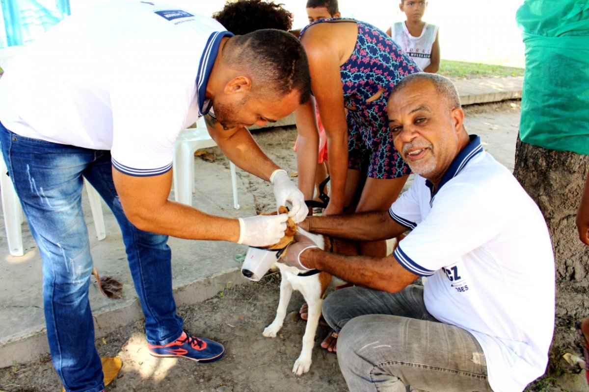 Campanha de vacinação para animais em Salvador irá contar com sistema de drive-thru