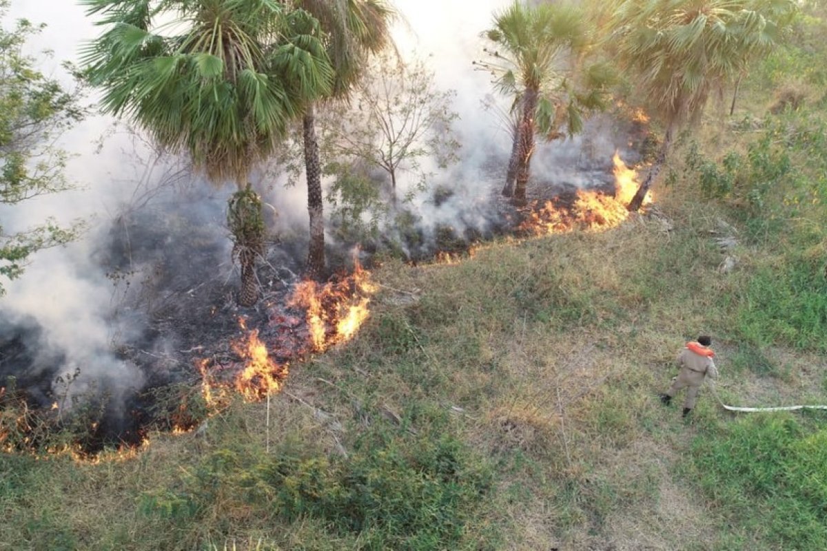 Queimadas: Amazonas, Pará e Mato Grosso já somam 60% em agosto