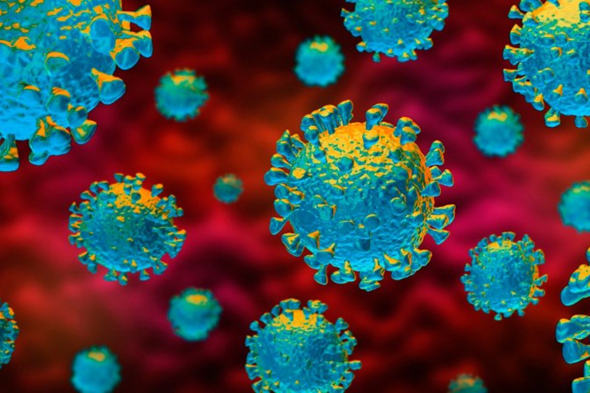 Covid-19: Bahia contabiliza mais 1.147 novos casos e atinge quase 230 mil infectados