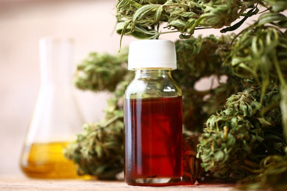 PL sobre cultivo da maconha para uso medicial será debatido pela Câmara