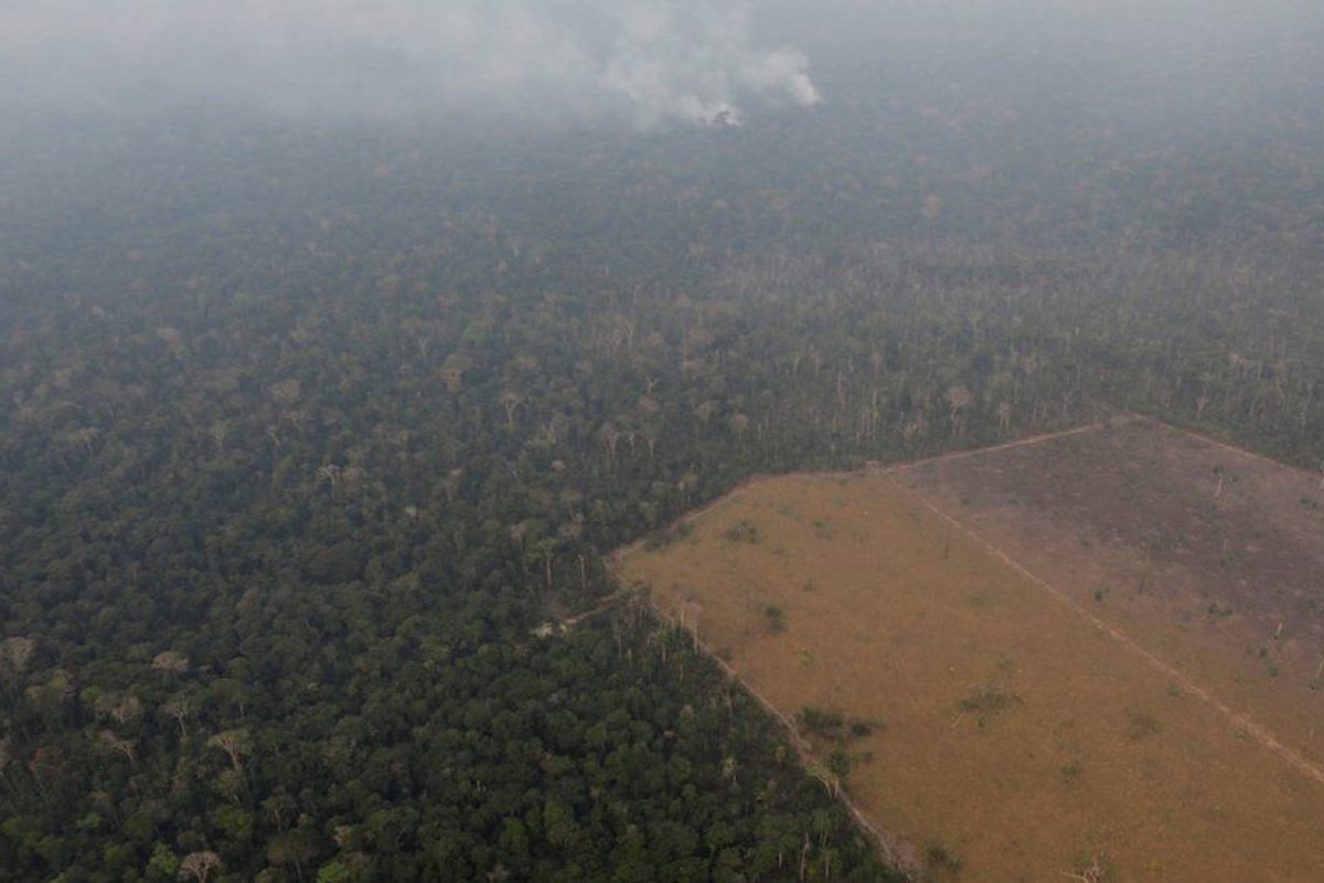 Cerca de 500 bebês foram internados por causa de fumaça na Amazônia em 2019
