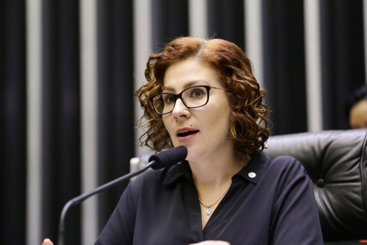 Carla Zambelli alerta para impactos de possível alteração no texto da PL do Gás