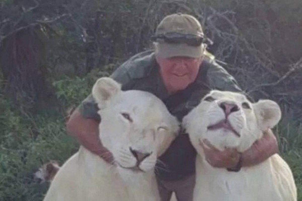 Ambientalista é morto por leoas albinas das quais cuidava desde filhotes