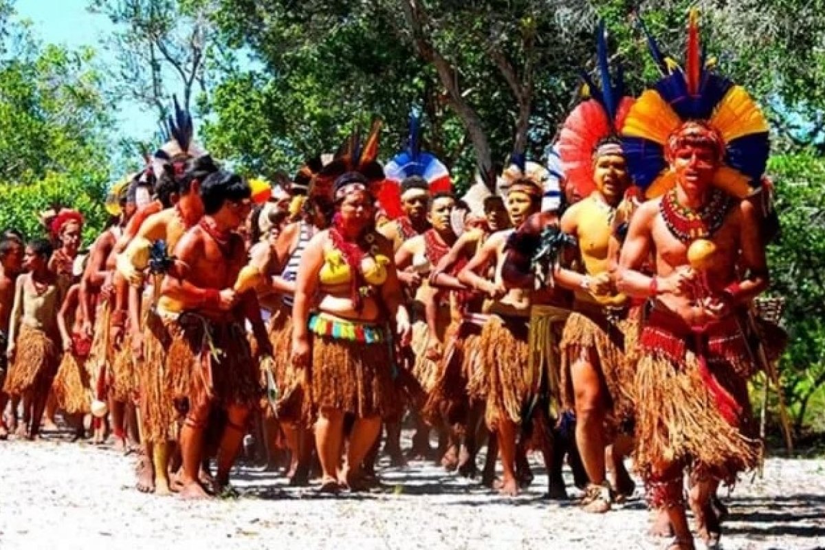 Justiça determina ordem de despejo de indígenas pataxó em território no sul da Bahia