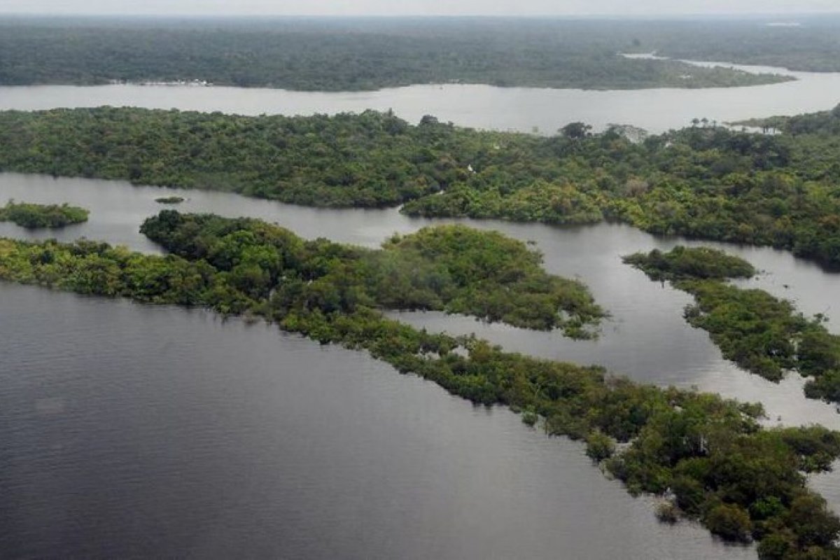Operação Verde Brasil 2 ultrapassa R$ 520 milhões em aplicação de multas