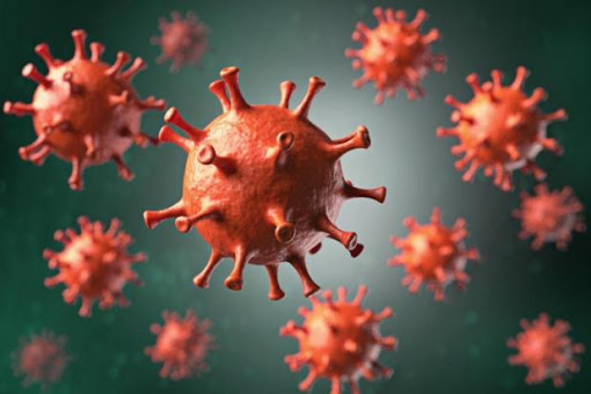 Brasil tem mais de 125 mil mortes e 4 milhões de casos do coronavírus 