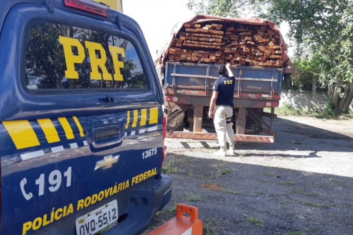 PRF apreende caminhão com 35 m³ de madeira transportada irregularmente