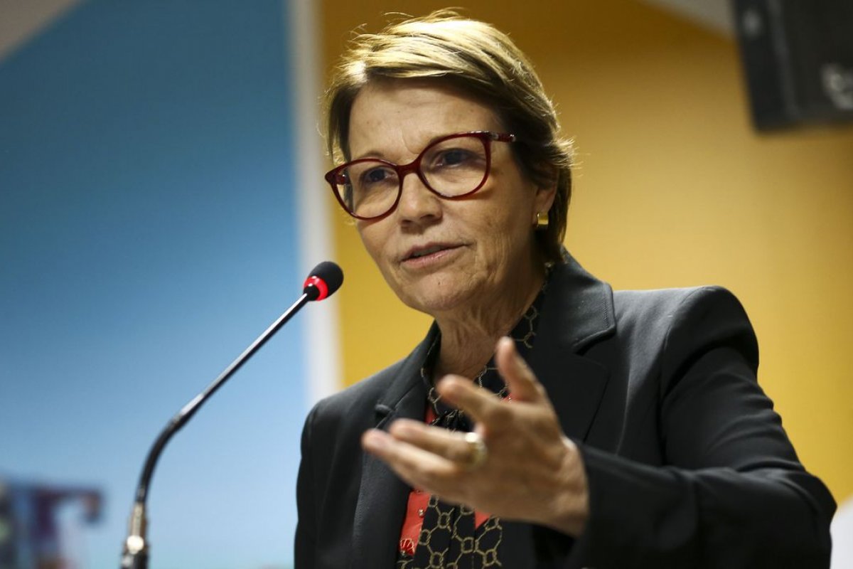 Ministra da Agricultura descarta intervenção do governo no preço dos alimentos