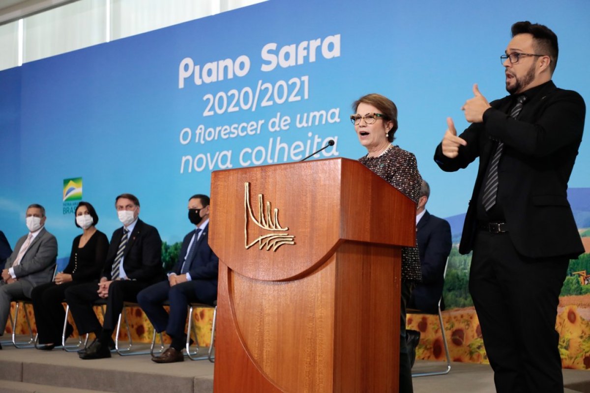 Após taxa zero, Brasil deve importar arroz dos EUA e Tailândia, afirma Tereza Cristina