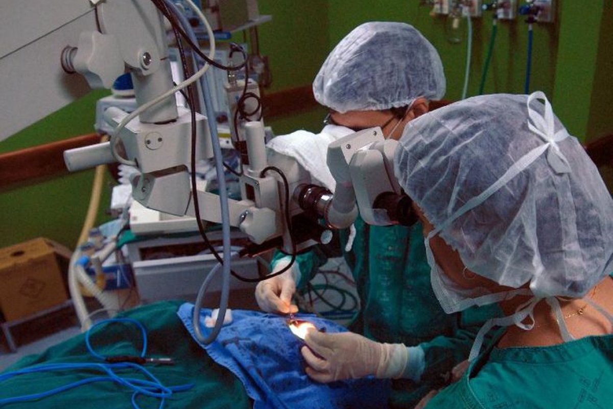 Número de transplantes realizados no Brasil tem queda de 61% durante pandemia