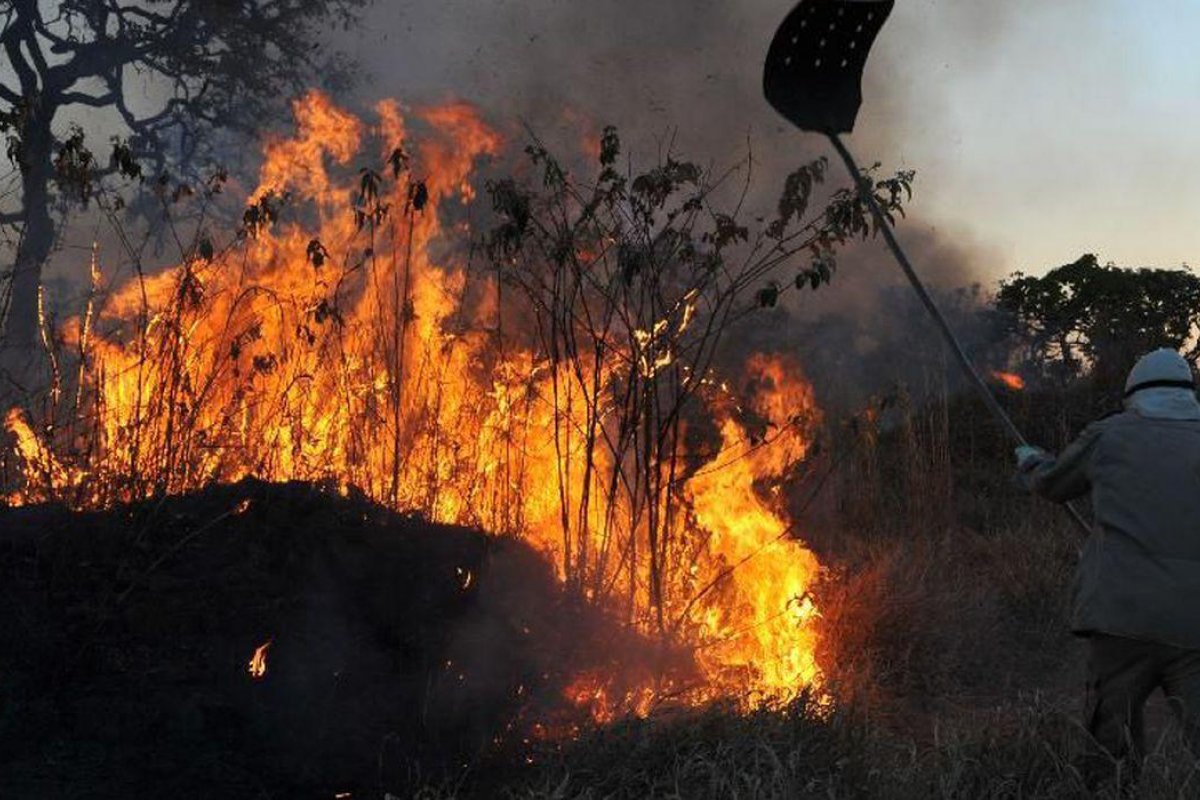 Incêndios no Pantanal cresceram mais de 210% entre janeiro e setembro deste ano 