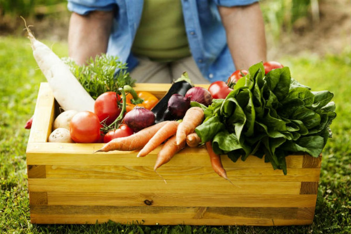 Compromisso com alimentos seguros