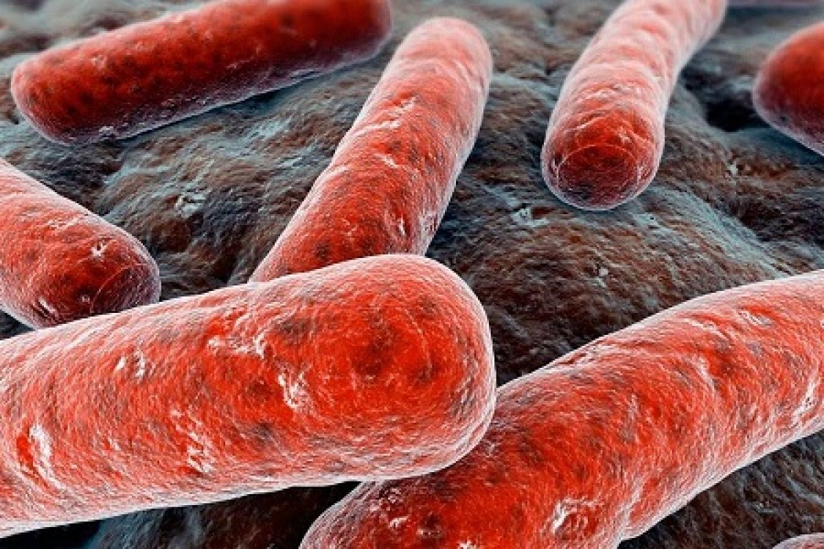Chineses se infectam com bactéria após vazamento de gás de empresa farmacêutica