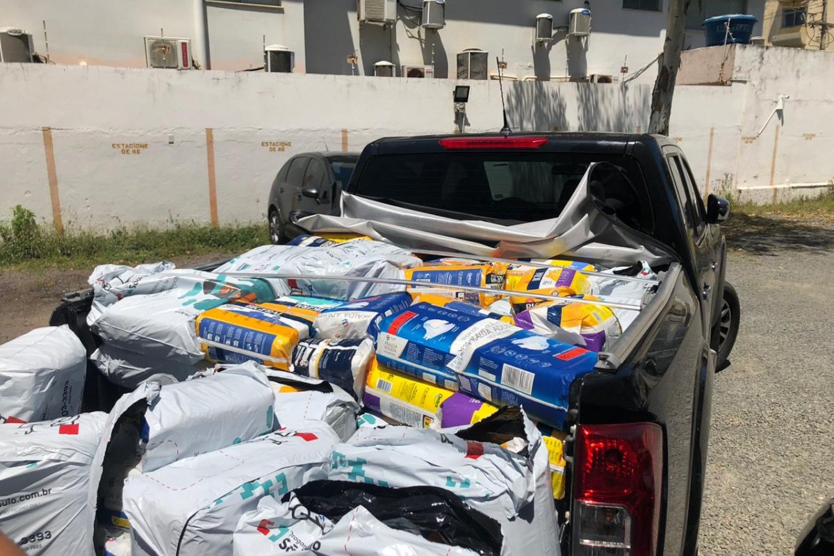 Em comemoração ao Dia do Ortopedista, a SBOT-BA fará entrega de mais de 300 pacotes de fraldas para Osid  
