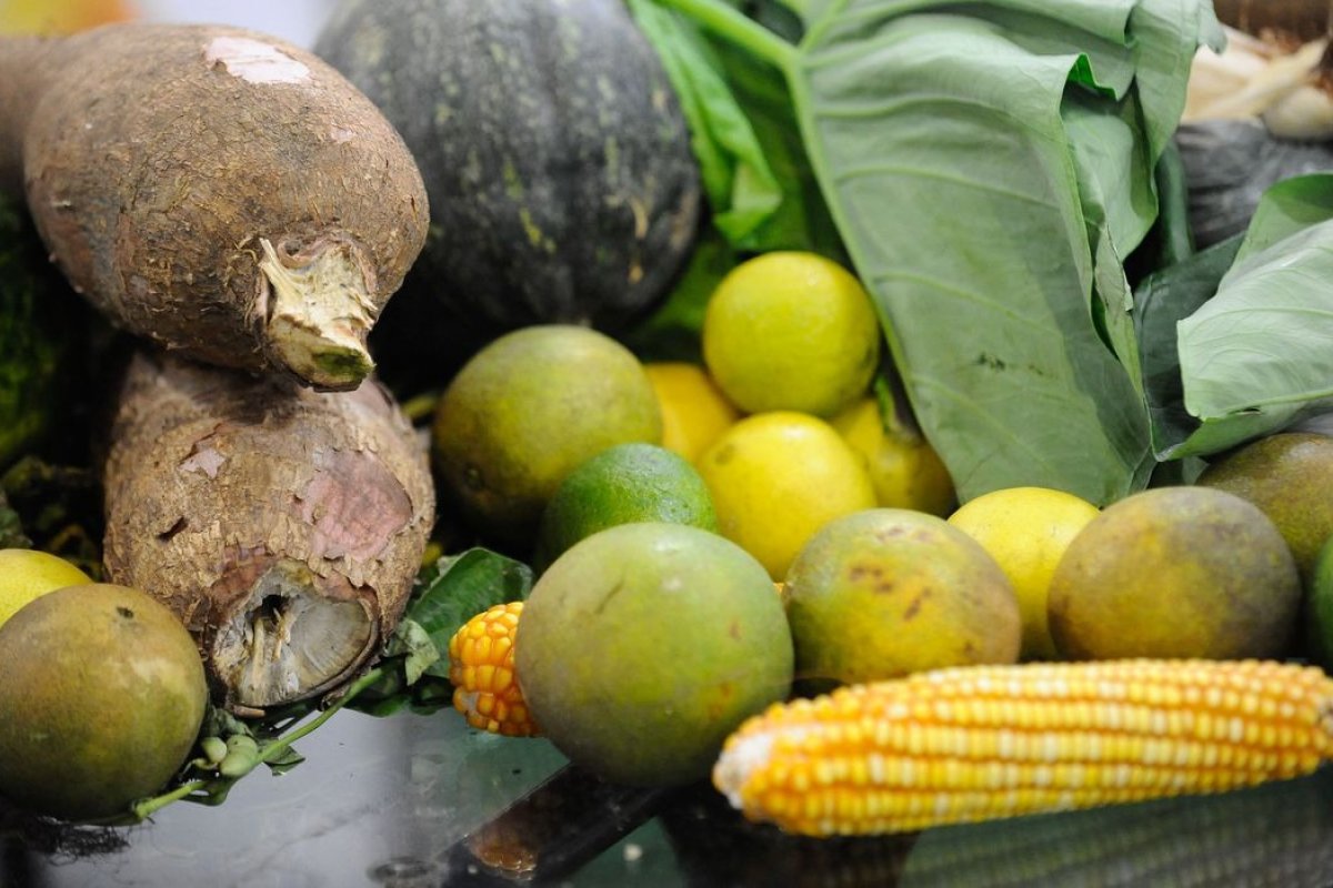 Diminuir desperdício de alimentos