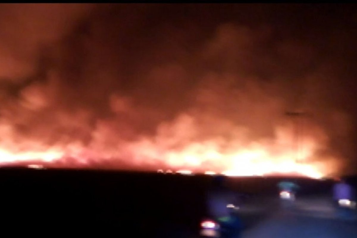 Incêndio atinge vegetação e queima 30 hectares em Barra, no oeste da Bahia