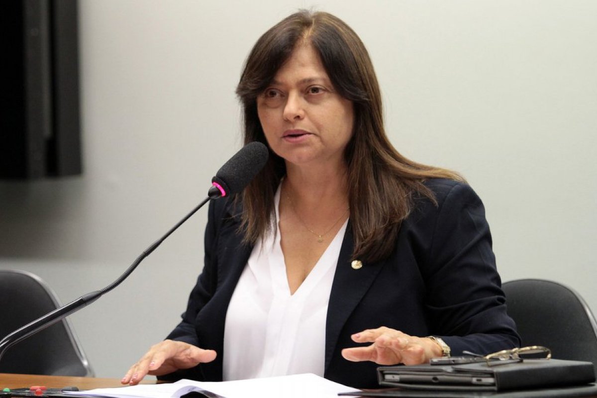 Deputada protocola requerimento cobrando explicações da ministra Damares sobre combate da violência contra mulher 
