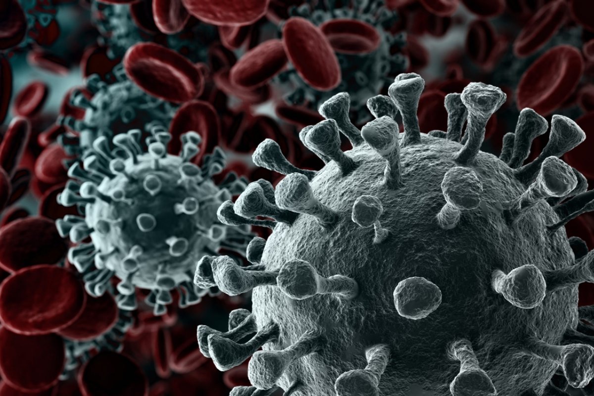 Veja os últimos dados da pandemia nesta terça-feira (22) 