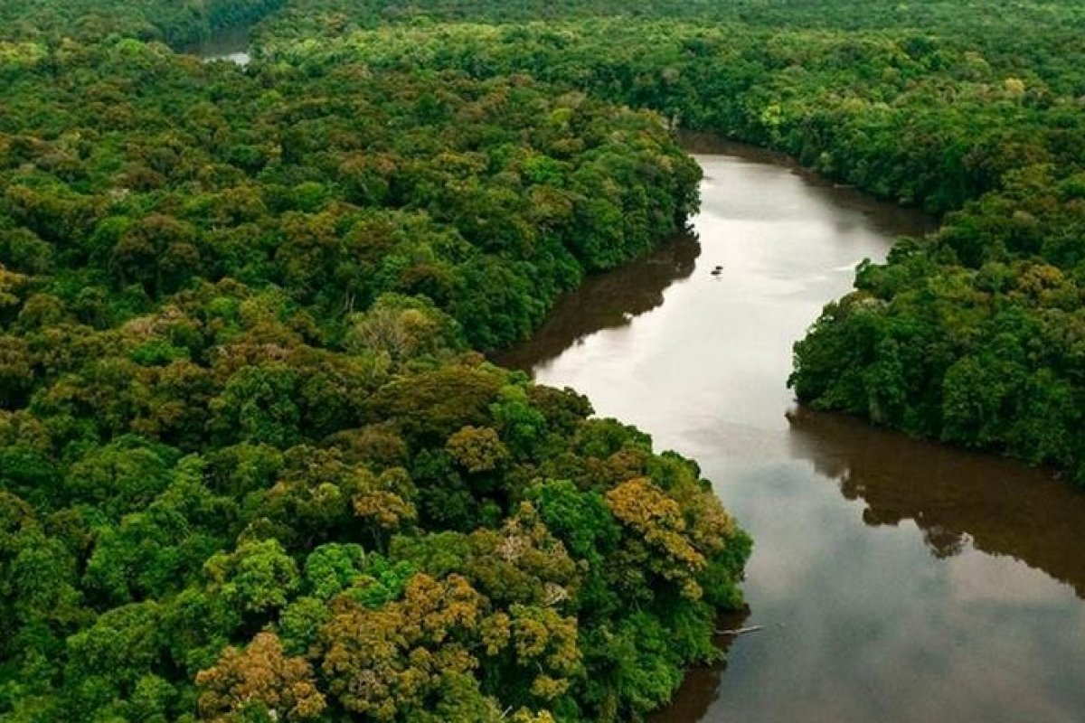 Tweet recorda reportagem de 1985 sobre impacto do desmatamento no Brasil 