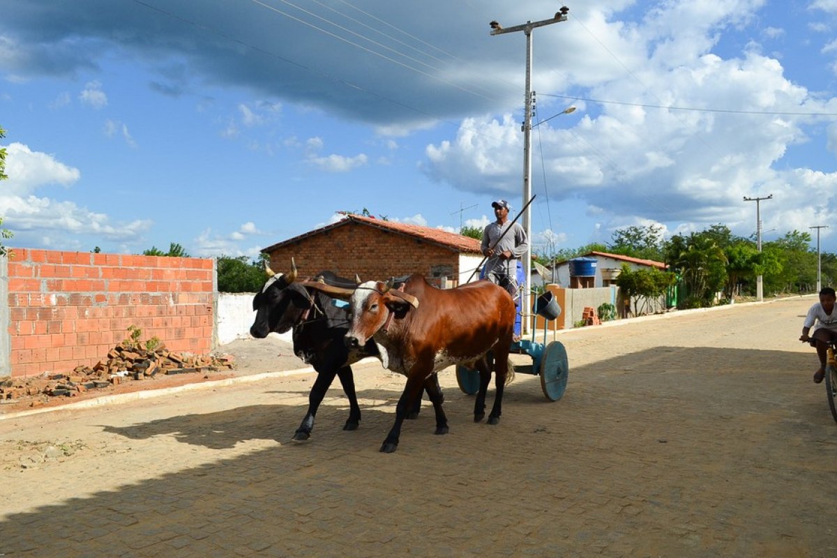 Municípios baianos têm situação de emergência decretada por clima desértico