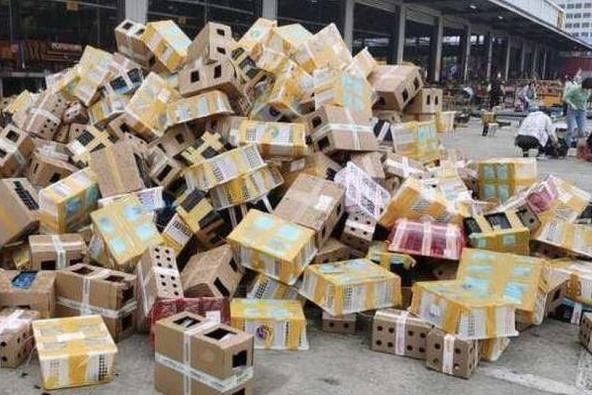 Cinco mil animais de estimação são encontrados mortos em caixas de papelão na China