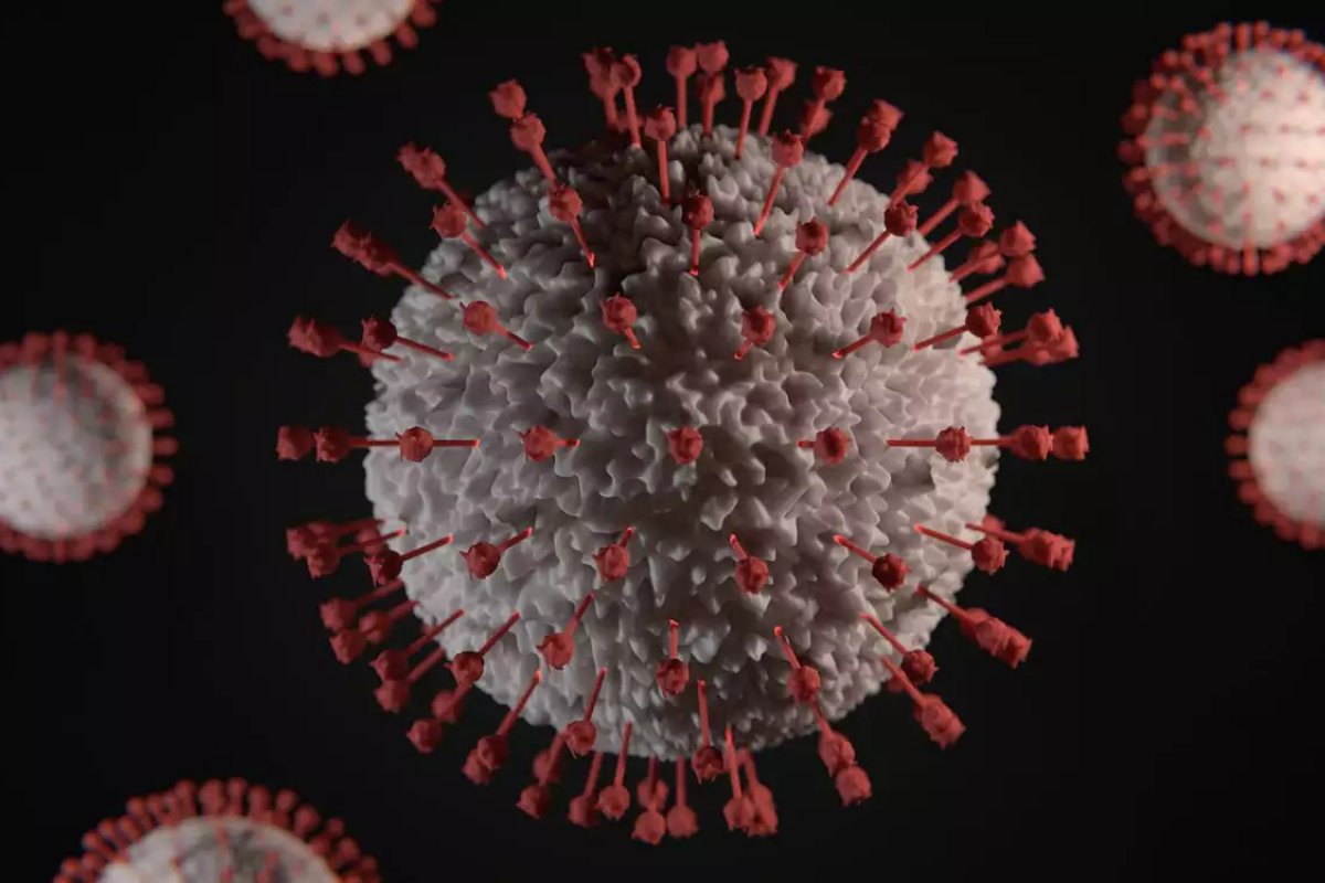 Confirma os últimos dados da pandemia nesta quinta-feira (1º)