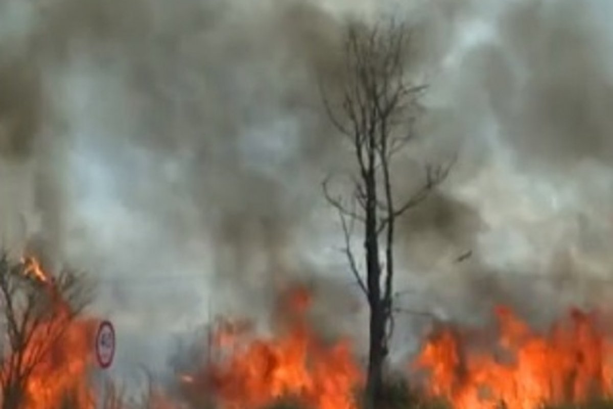Mais uma cidade no oeste da Bahia registra incêndio em vegetação nativa