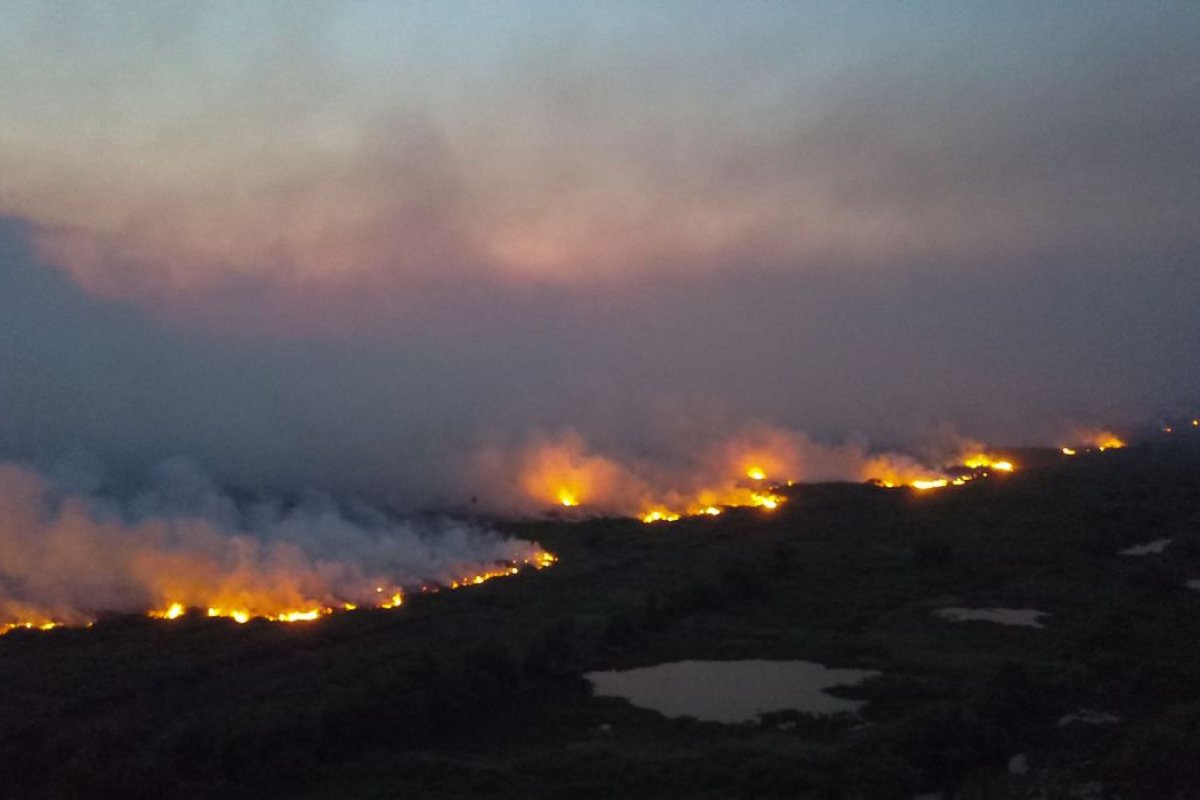 Inpe: Pantanal tem 8.106 pontos de incêndio em setembro deste ano