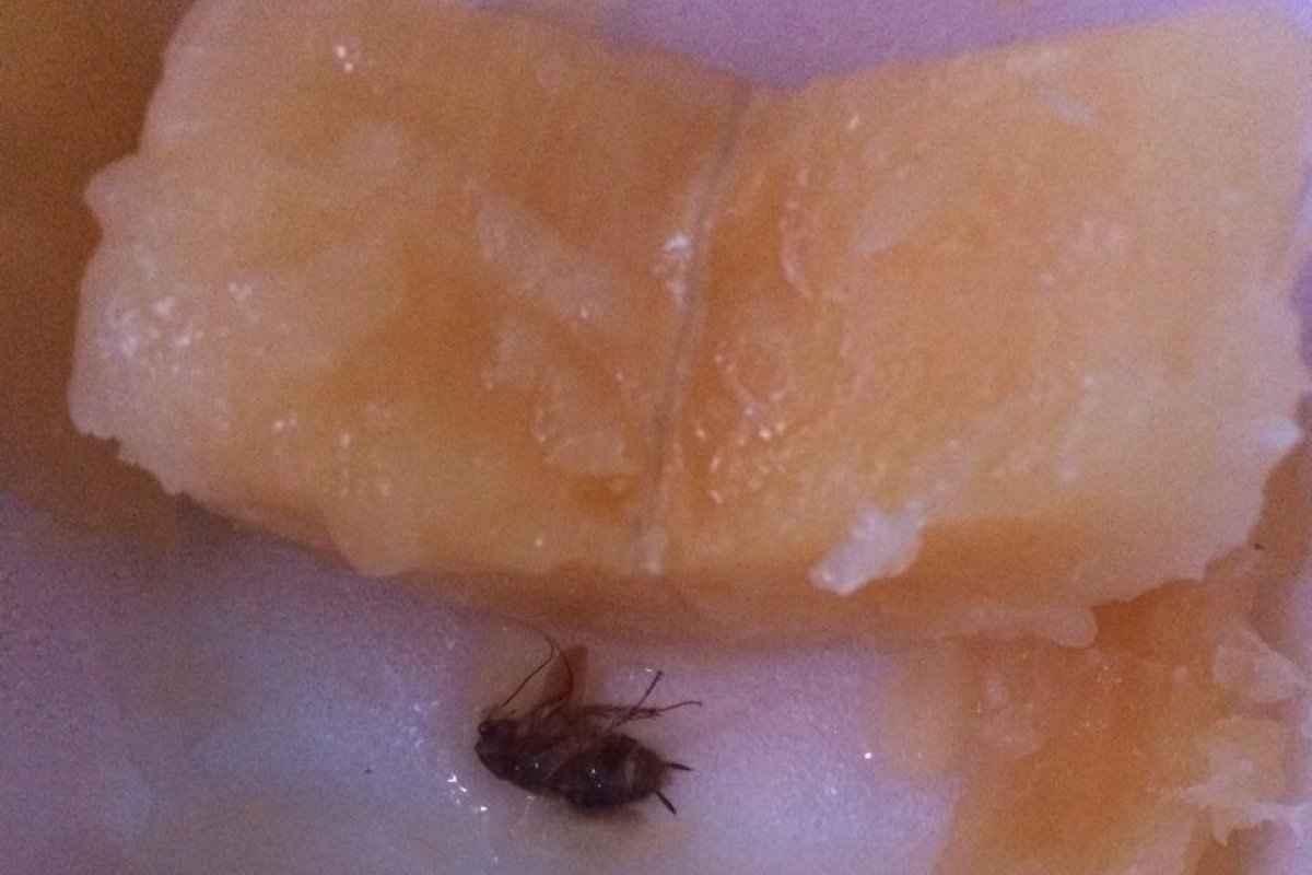Paciente denuncia barata em comida servida na maternidade Climério de Oliveira 